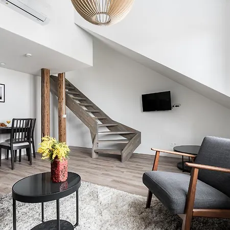 Angel House Vilnius, Old Town 6 公寓 维尔纽斯